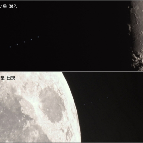 しし座σ星の食
