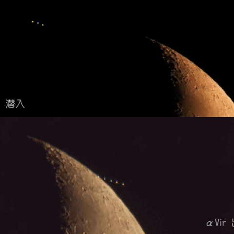 8月10日スピカ食