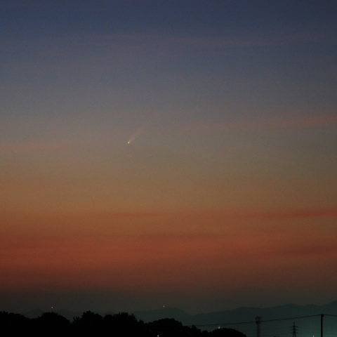 紫金山・アトラス彗星