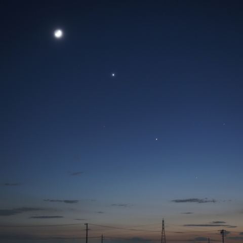 夕空に並びました