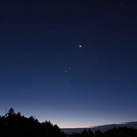 獅子とともに昇る惑星たち