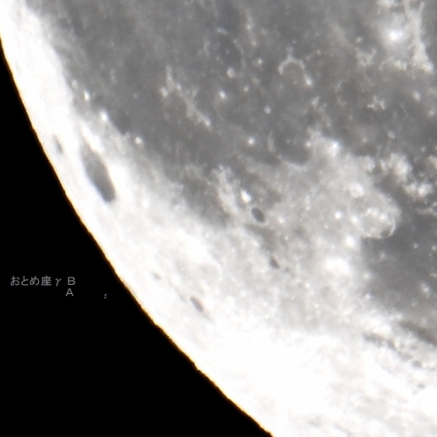 おとめ座ポリマの食