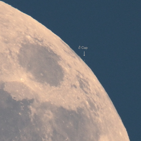 やぎ座δ星デネブアルゲディの食
