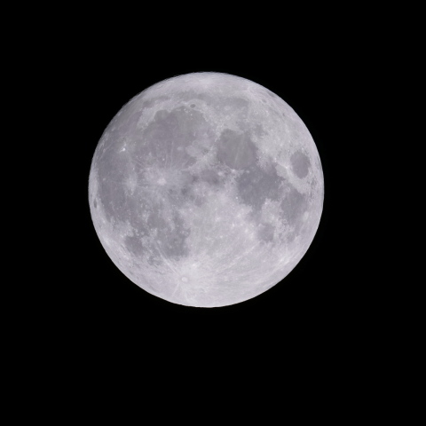 令和二年 中秋の名月