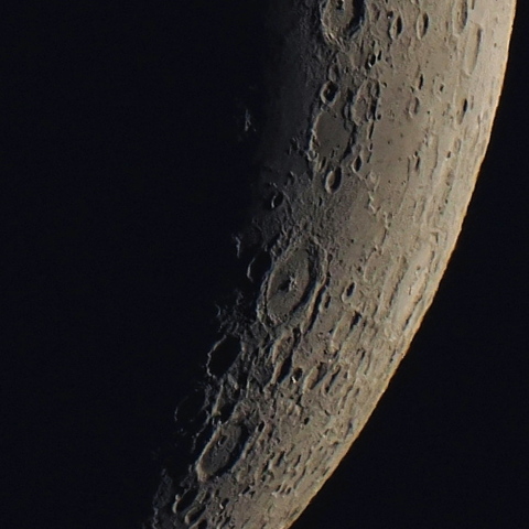 三日月のペタヴィウス