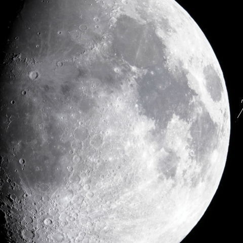 しし座η星の食