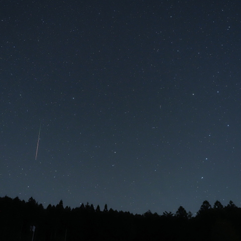 オリオン座流星群①