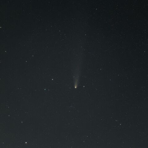 紫金山・アトラス彗星　C2023A3　2024年11月3日