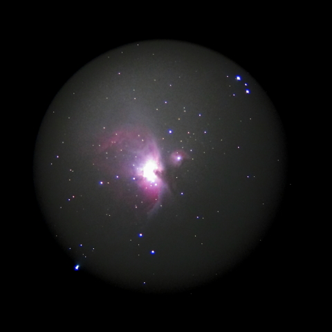 M42