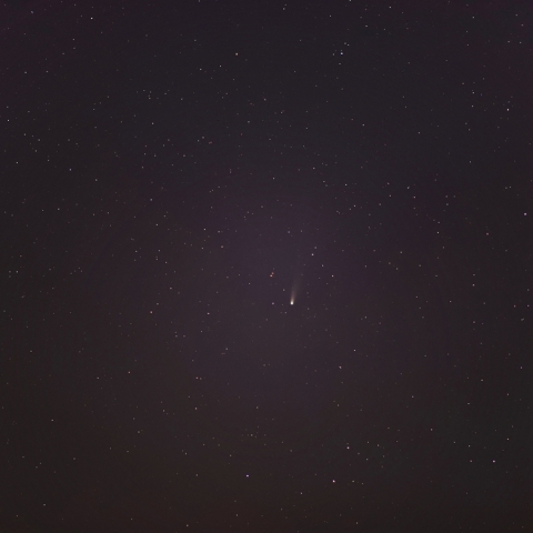 10月29日のレモン彗星