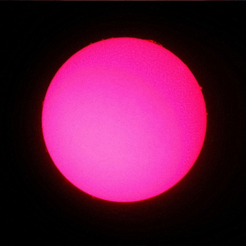 １１月２２日の太陽面