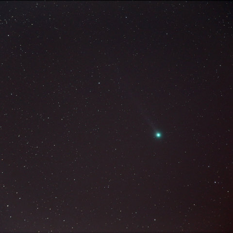 ラブジョイ彗星