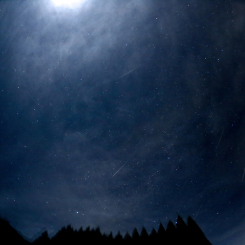 ペルセウス座流星群その2