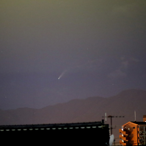 ネオワイズ彗星