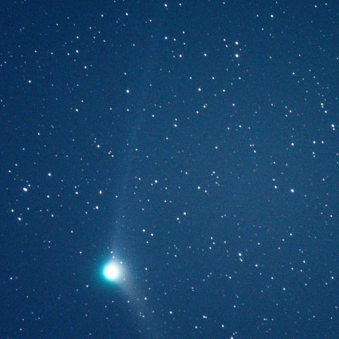 12/18カタリナ彗星