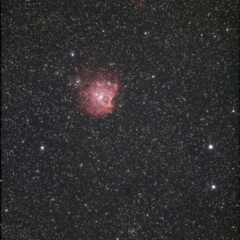 モンキー星雲 NGC2174