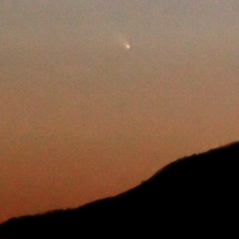 見え始めたパンスターズ彗星