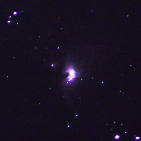 11/29のオリオン座星雲