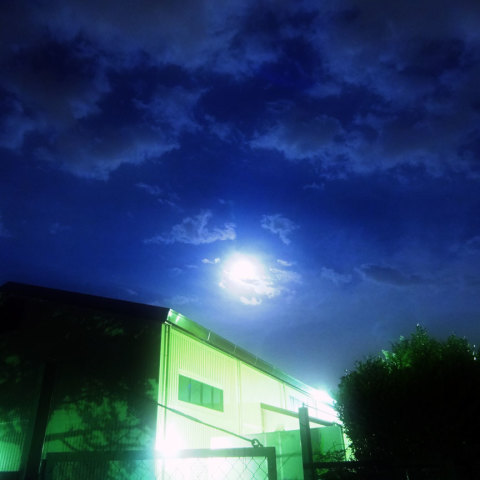 月夜にようこそ