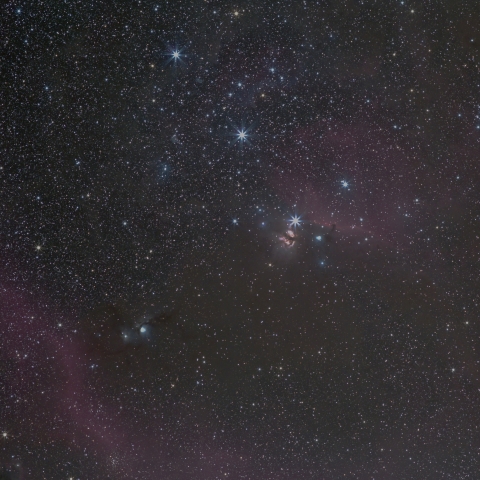 オリオン座中心部