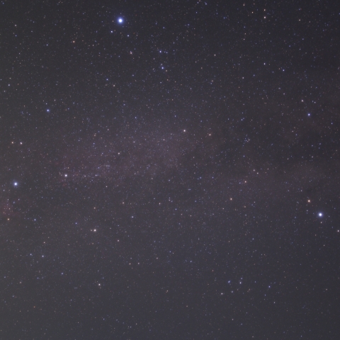 夏の大三角といるか