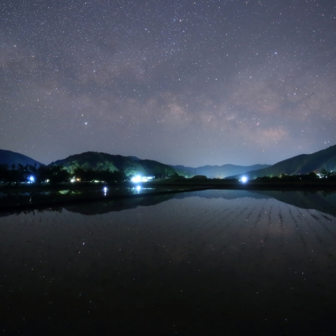 田んぼと天の川