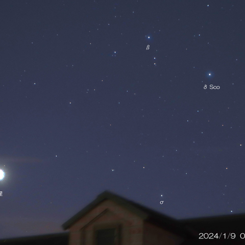 2024/1/9 金星・さそり座の星々