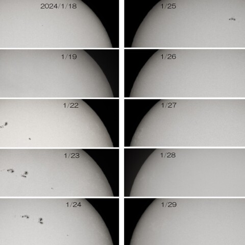 2024/1/18～29　太陽黒点群3559の動き