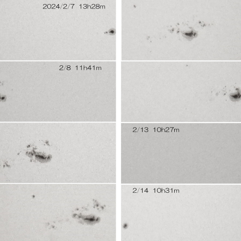 2024/2/7～14 太陽黒点群3576の変化
