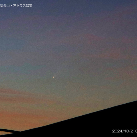 2024/10/2 紫金山・アトラス彗星