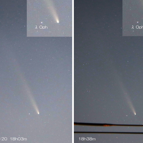 2024/10/20 紫金山・アトラス彗星 35分間の動き