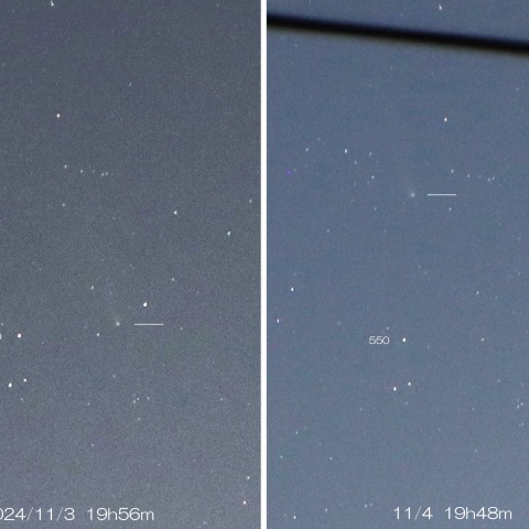 2024/11/03・04 紫金山・アトラス彗星 1日の動き