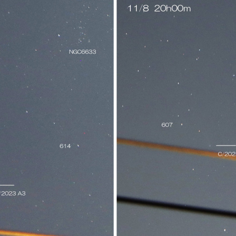 2024/11/07・08 紫金山・アトラス彗星　1日の動き