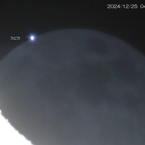 2024/12/25  スピカ食 出現直後