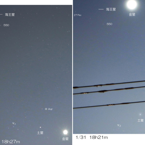 2025/1/17・31  金星・土星・海王星の2週間の動き