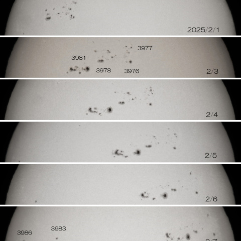 2025/2/1～7 太陽