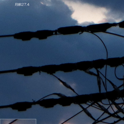 2025/4/26 雲間の月と水星