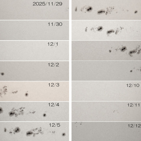 2025/11/29~12/12 大黒点群4296・4294・4298の動き