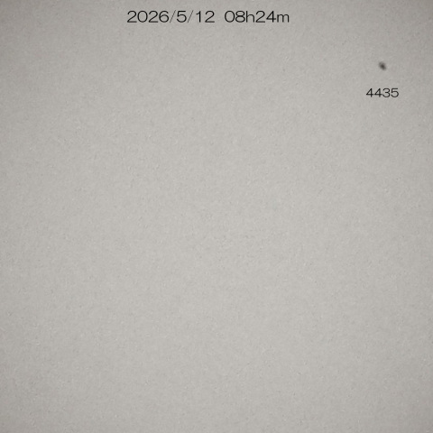 2026/5/12  太陽 