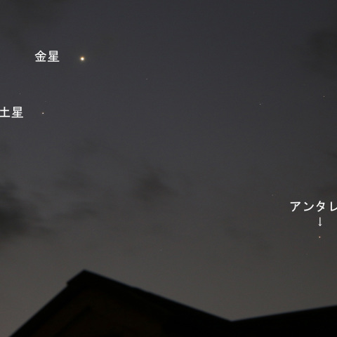 金星・土星とアンタレス
