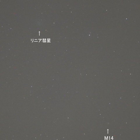 リニア彗星とM14