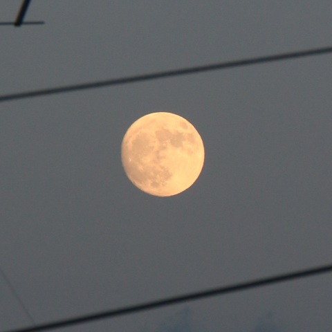 スーパームーン一日前