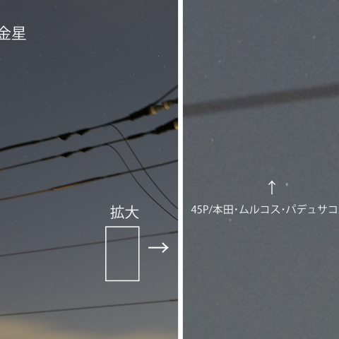 金星と45P/本田・ムルコス・パデュサコバ彗星