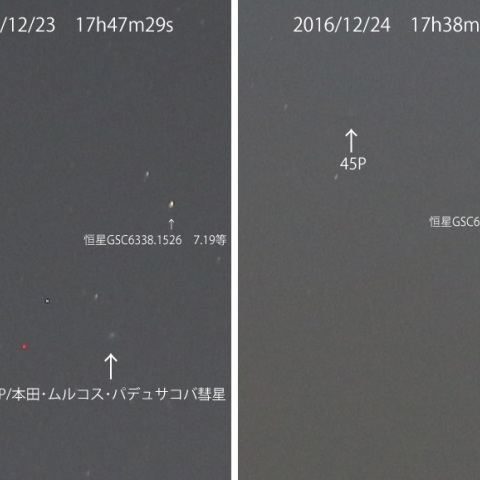 45P/本田・ムルコス・パデュサコバ彗星　1日の移動