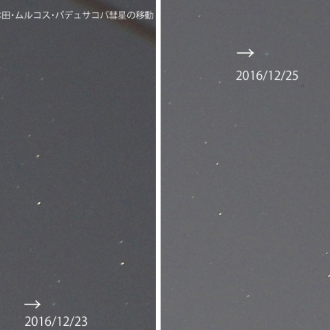 45P/本田・ムルコス・パデュサコバ彗星の移動12/23・25