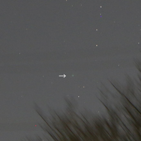 西の丘に沈みゆく45P/本田・ムルコス・パデュサコバ彗星2016/12/29