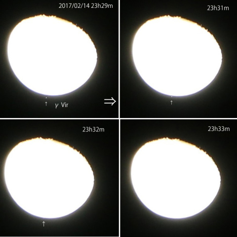 γ Vir星食