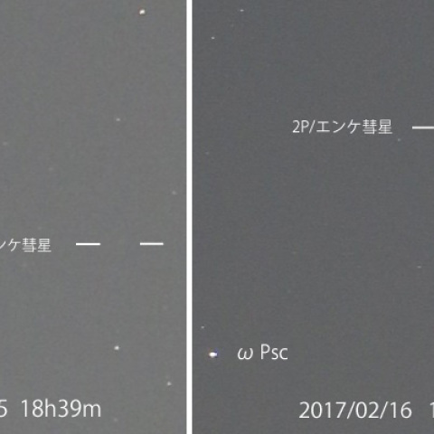2P/エンケ彗星1日の動き