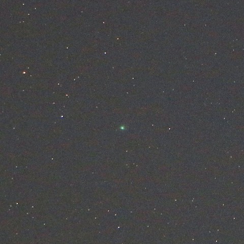 C/2017E4 ラブジョイ彗星