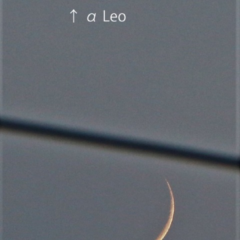 月齢2.0とα Leo（レグルス）の接近